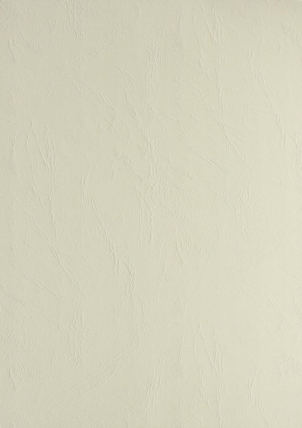 Genere in pelle cartone di cartone din a4 clairefontaine 270 g / mÃ‚Â² testo e copertura beige 2704 (100 pezzi)