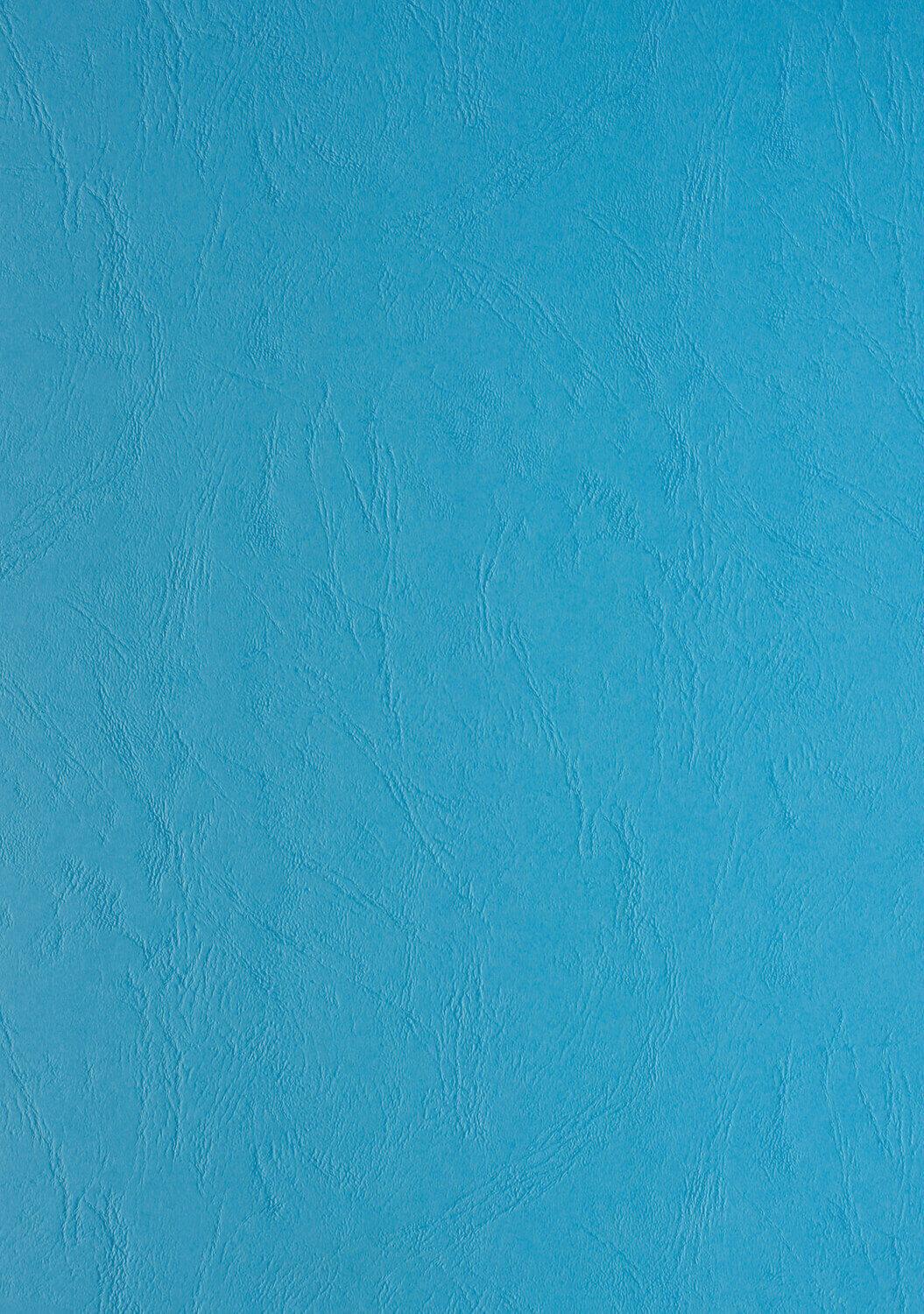 Genere in pelle cartone di cartone DIN A4 CLAIR TELEFONO 270 g / mÃ‚Â² Testo e copertura Hellblau 2705 (100 pezzi)