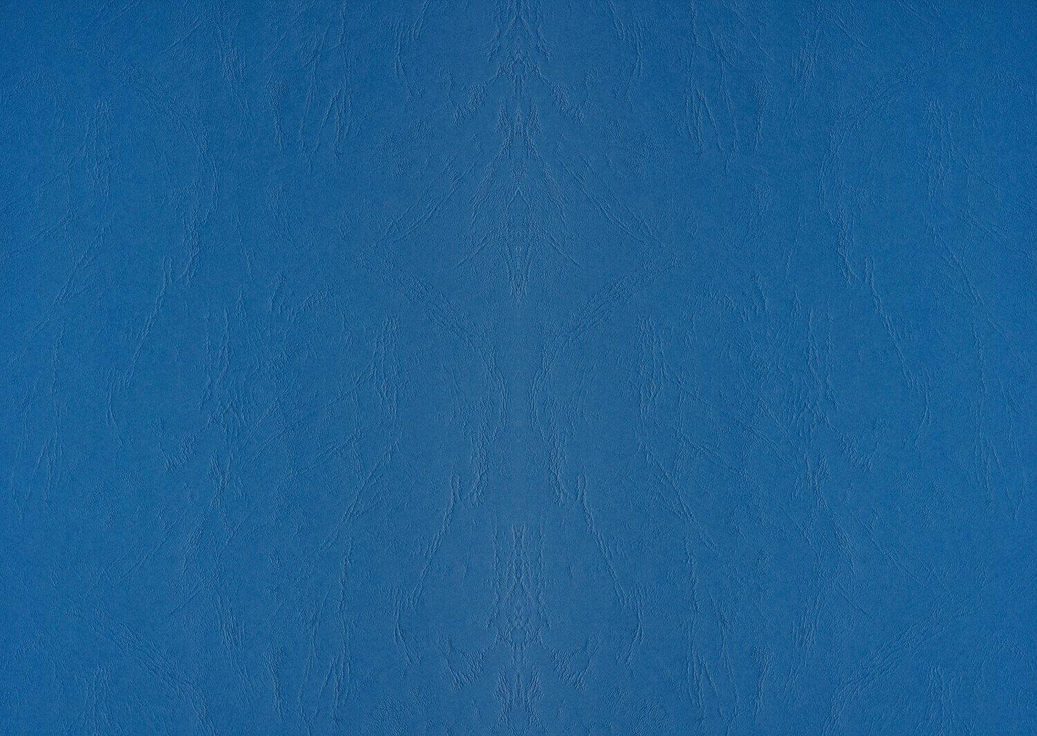 Genere in pelle cartone di cartone DIN A3 270 g / mÃ‚Â² Royal Blue (100 pezzi)