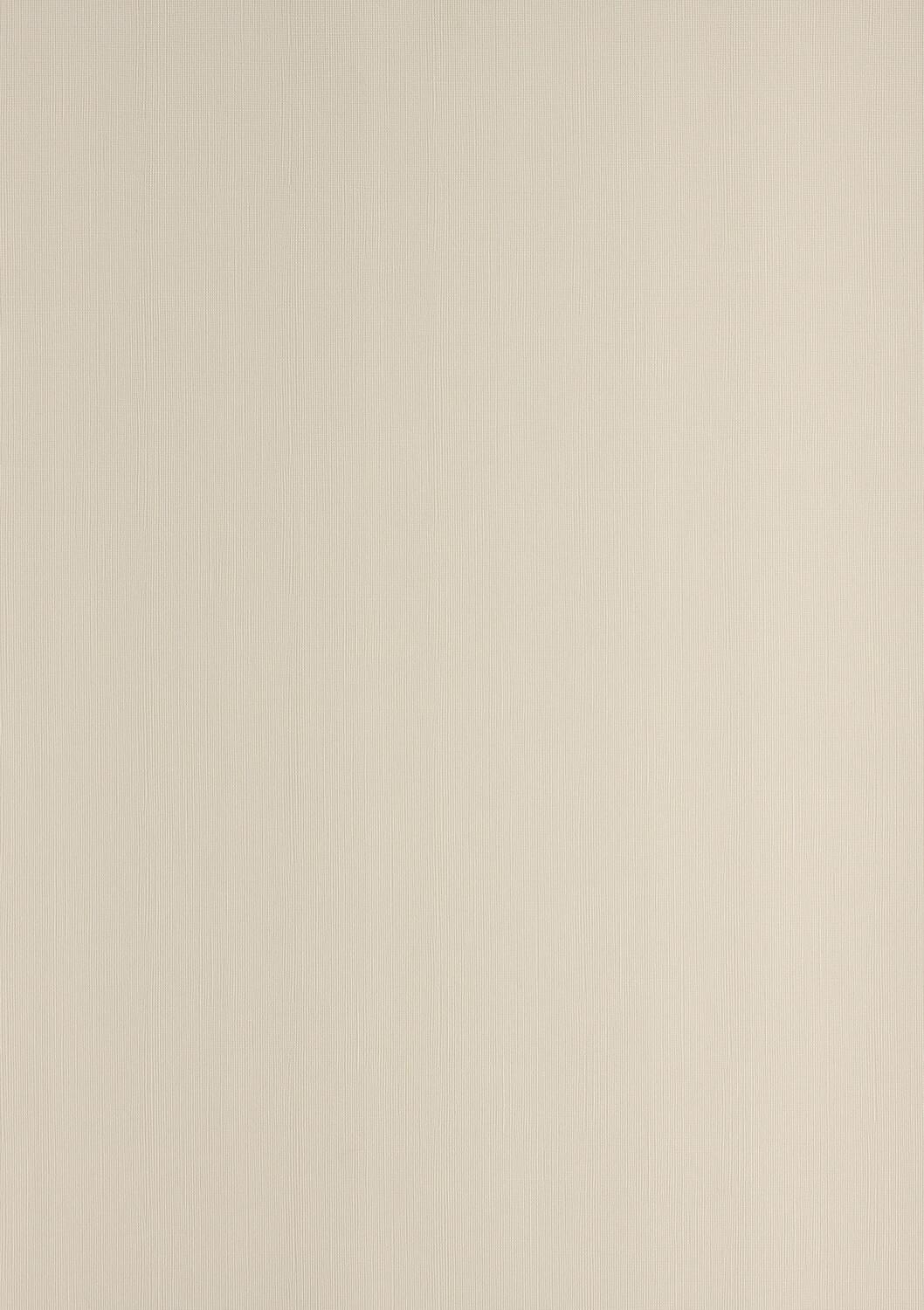 Linenenarbter Cardboard Din A4 Clair Telefontaine 270 g / mÃ‚Â² Testo e copertura beige 2724 (100 pezzi)