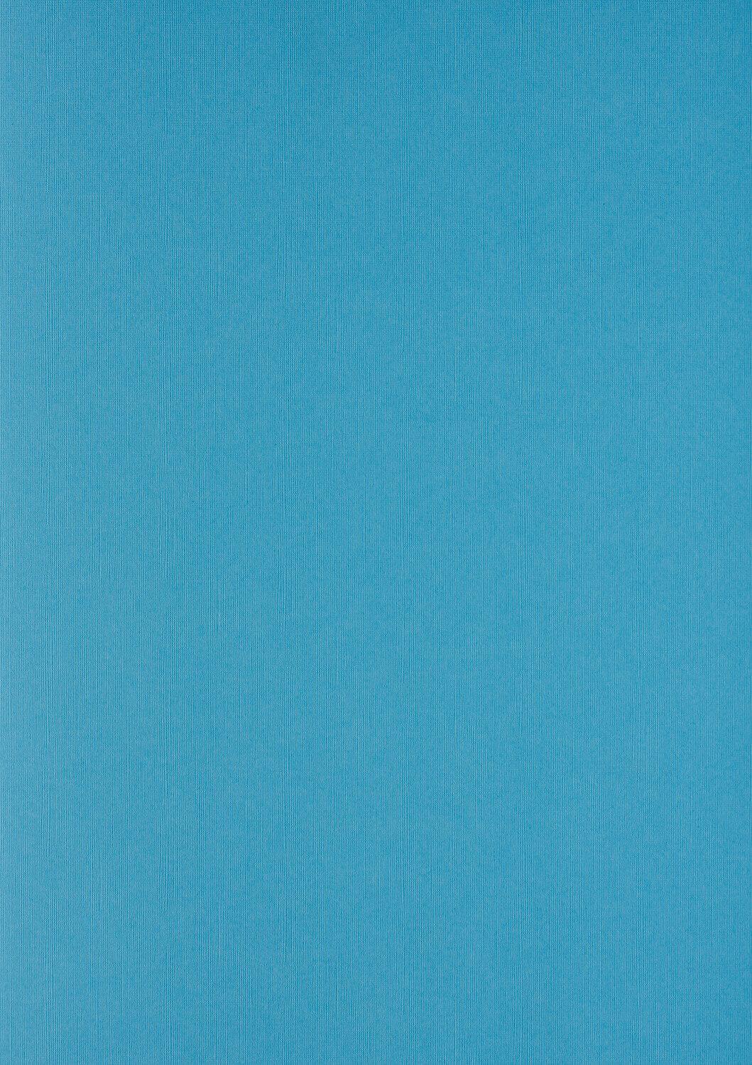 Linenenarbter Cardboard Din A4 Clairefontaine 270 g / mÃ‚Â² Testo e copertura Hellblau 2725 (100 pezzi)
