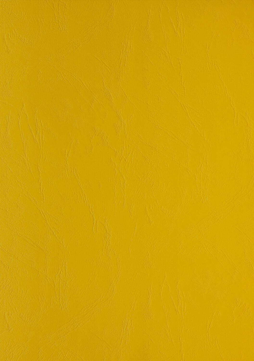 Genere in pelle cartone di cartone DIN A4 CLAIR TELEFONO 240 G / MÃ‚Â² Testo e copertura giallo 2770 (100 pezzi)