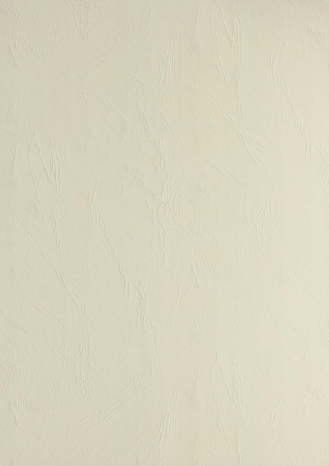 Genere in pelle cartone di cartone din a4 clairefontaine 240 g / mÃ‚Â² testo e copertura beige 2771 (100 pezzi)