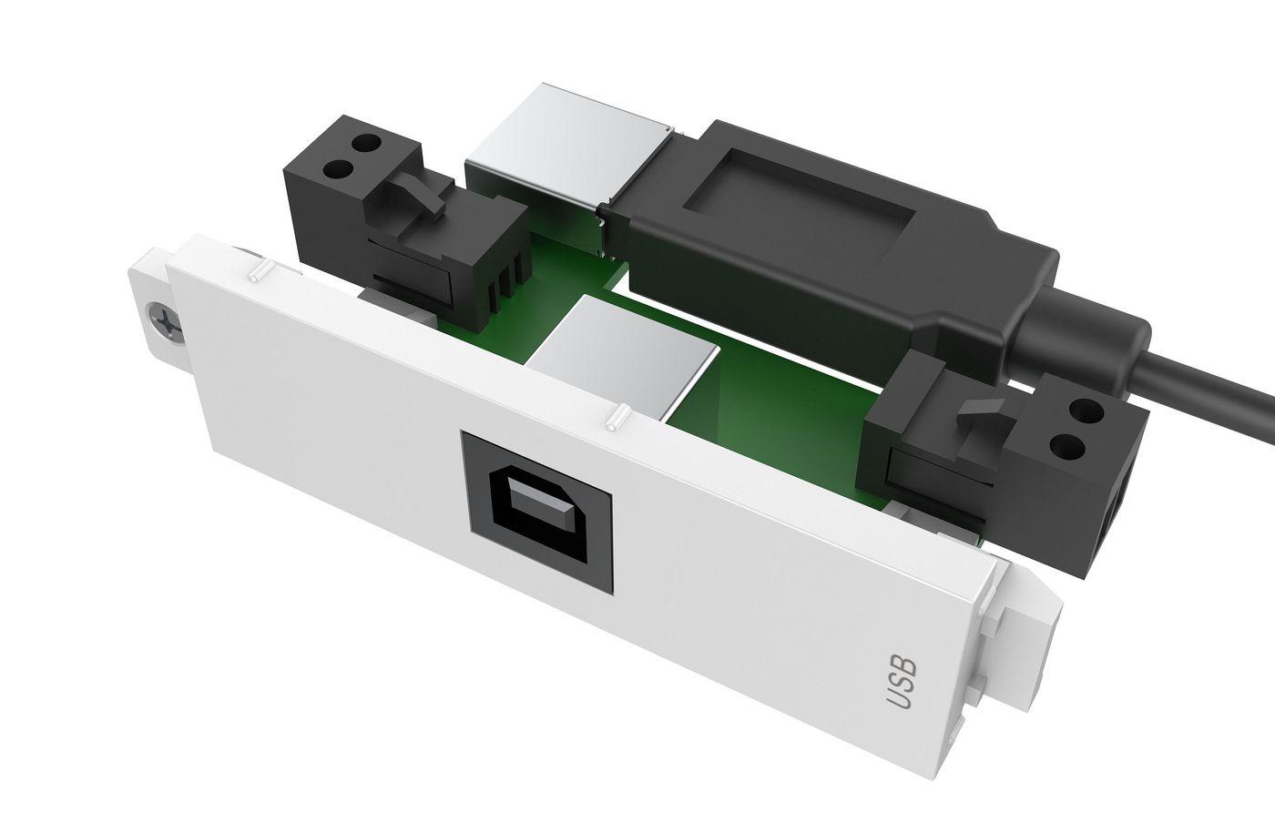 Vision TC3 USBB+ USB Bianco presa energia (VISION Techconnect Modular AV Faceplate - LIFETIME WARRANTY - USB B [on front] to A