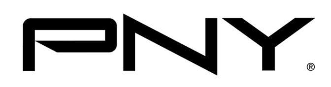 PNY QSP-STEREOQ4000-PB...