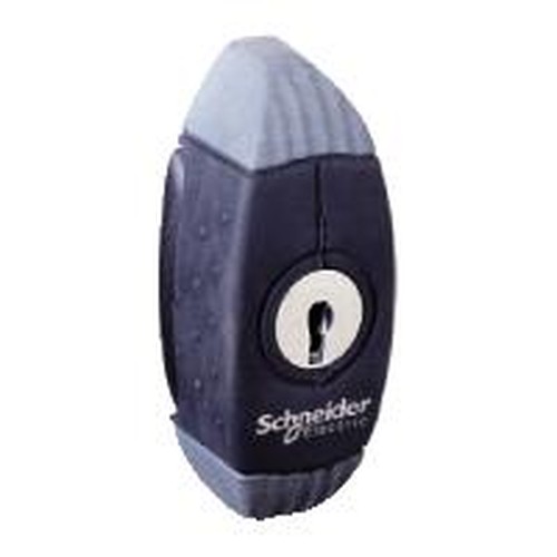 Schneider Electric...