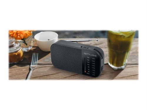 Tipo di radio privata MUSE M-025 R
