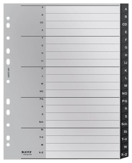 Leitz 12070000 intercalare...