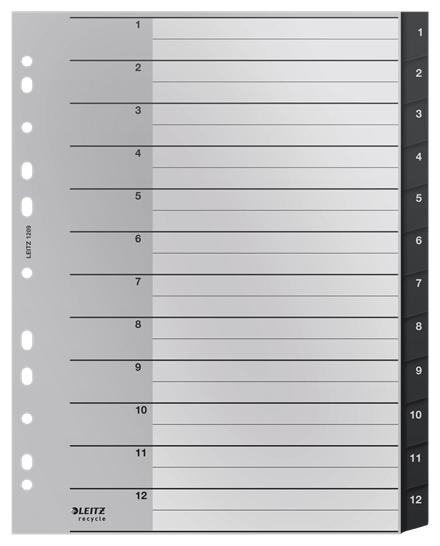 Leitz 12090000 intercalare...