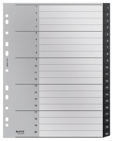 Leitz 12110000 intercalare...