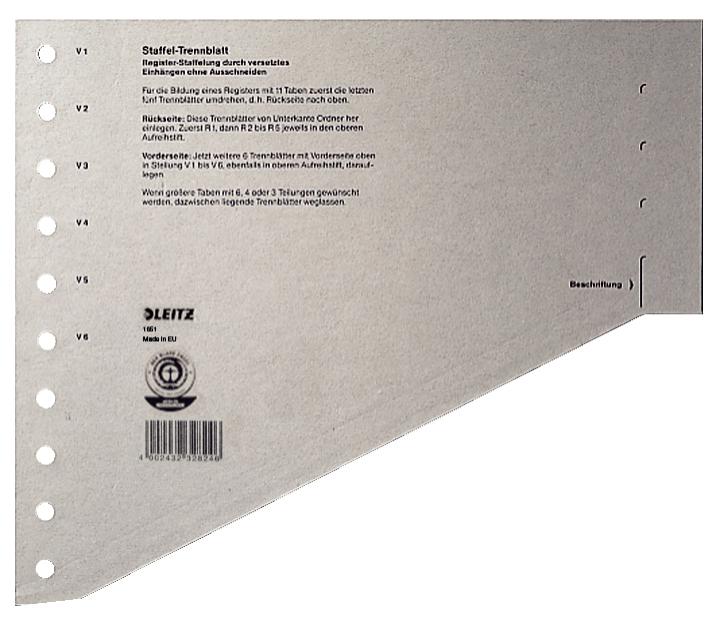 Leitz 16510085 intercalare...