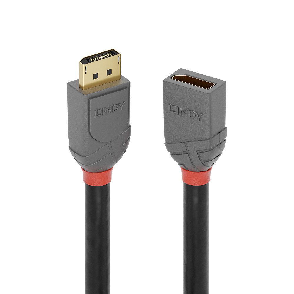 Lindy 36496 cavo DisplayPort 1 m Nero (1M Dp 1.4Extension Anthra - Line - Warranty 120M)