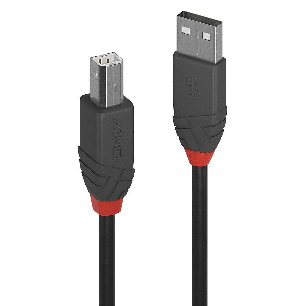 CAVO LINDY USB A 2.0 TO USB B M/M 2MT (TIPO STAMPANTE) "Anthra Line" NERO 36673