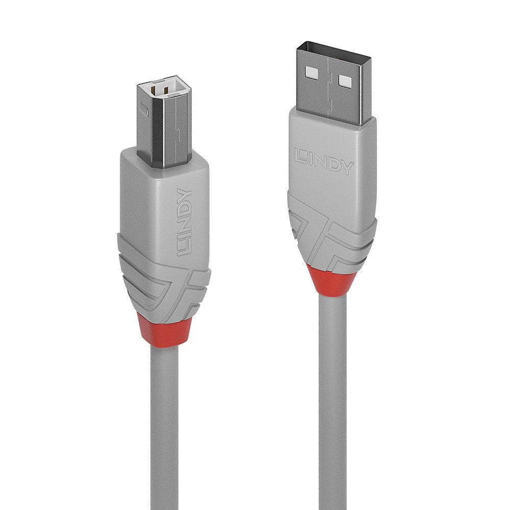 Lindy 36681 cavo USB 05 m USB 2.0 USB A USB B Grigio (0.5MUSB2.0TYPEATOBCABLEANTHGREY)