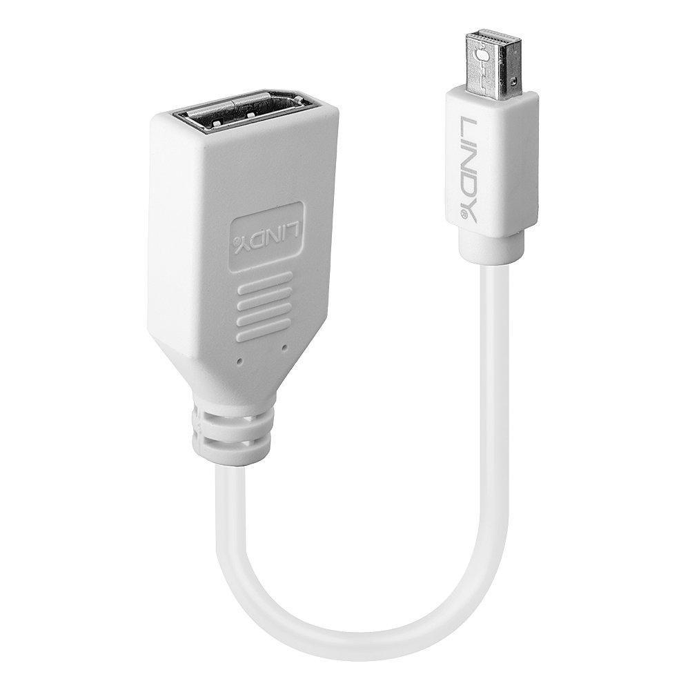 Lindy 41021 cavo DisplayPort 015 m Mini DisplayPort Bianco (Adapter Cable Mini-Dp M/Dp - F Premium Shielded - Warranty 120M)