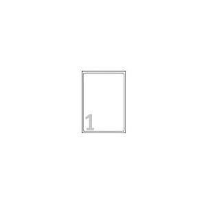 Etichette di spedizione AVERY Zweckform etichetta a getto d'inchiostro 2100 x 2970 trans