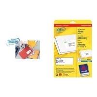 Etichette per indirizzi AVERY Zweckform J8177-25 991 x 423 mm bianco