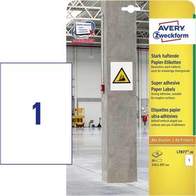Etichette universali AVERY Nutzform L7877-20 2100 x 2970 mm bianco