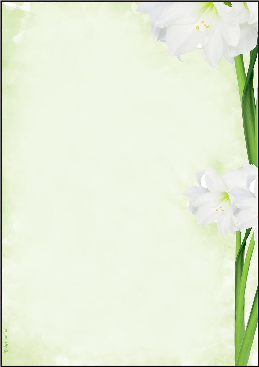 Carta da lettere SIGEL con motivi Green Flower DIN A4 90 g/m