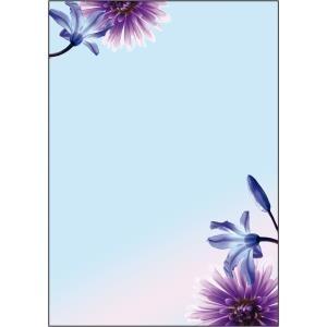 Carta da lettere SIGEL con motivi Blue Emotion A4 DIN A4 90 g/m