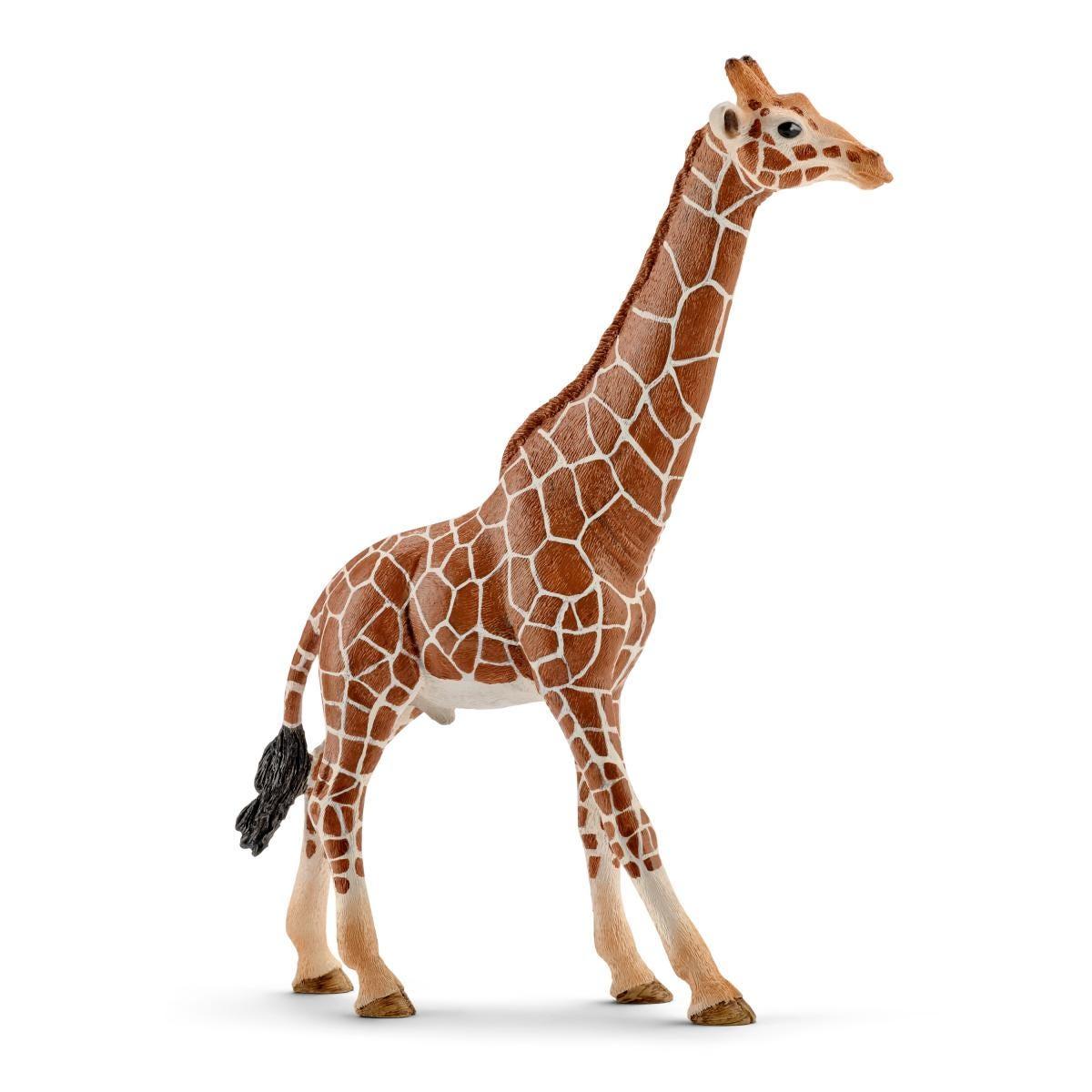 schleich WILD LIFE 14749 action figure giocattolo (SCHLEICH Wild Life Male Giraffe Toy Figure Brown/Tan 3 to 8 Years 14749)