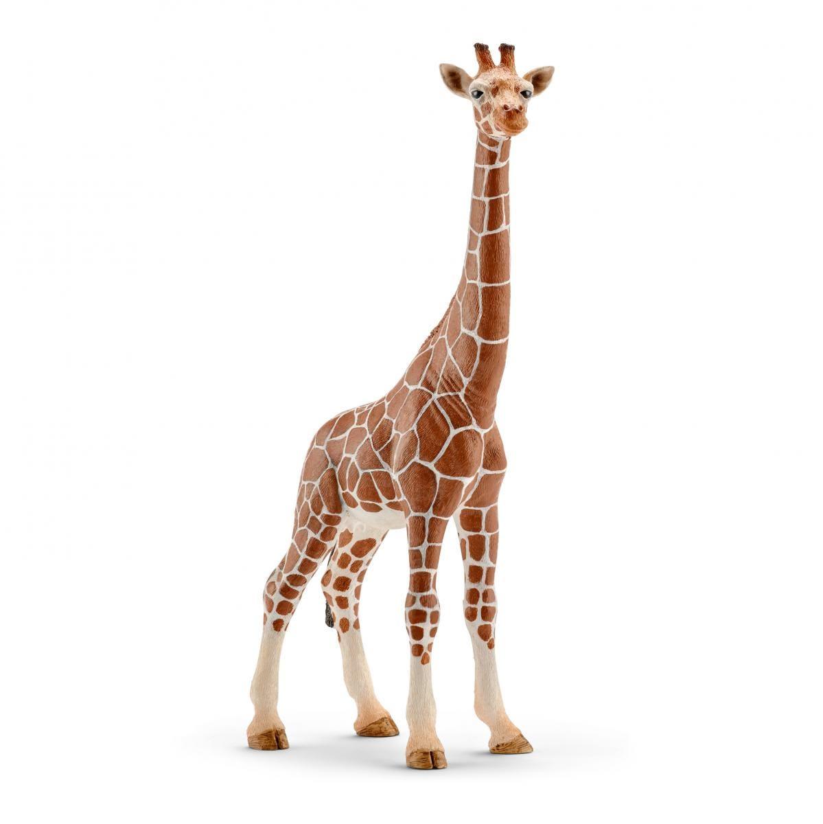 schleich WILD LIFE 14750 action figure giocattolo (Schleich Wild Life - Giraffe female)