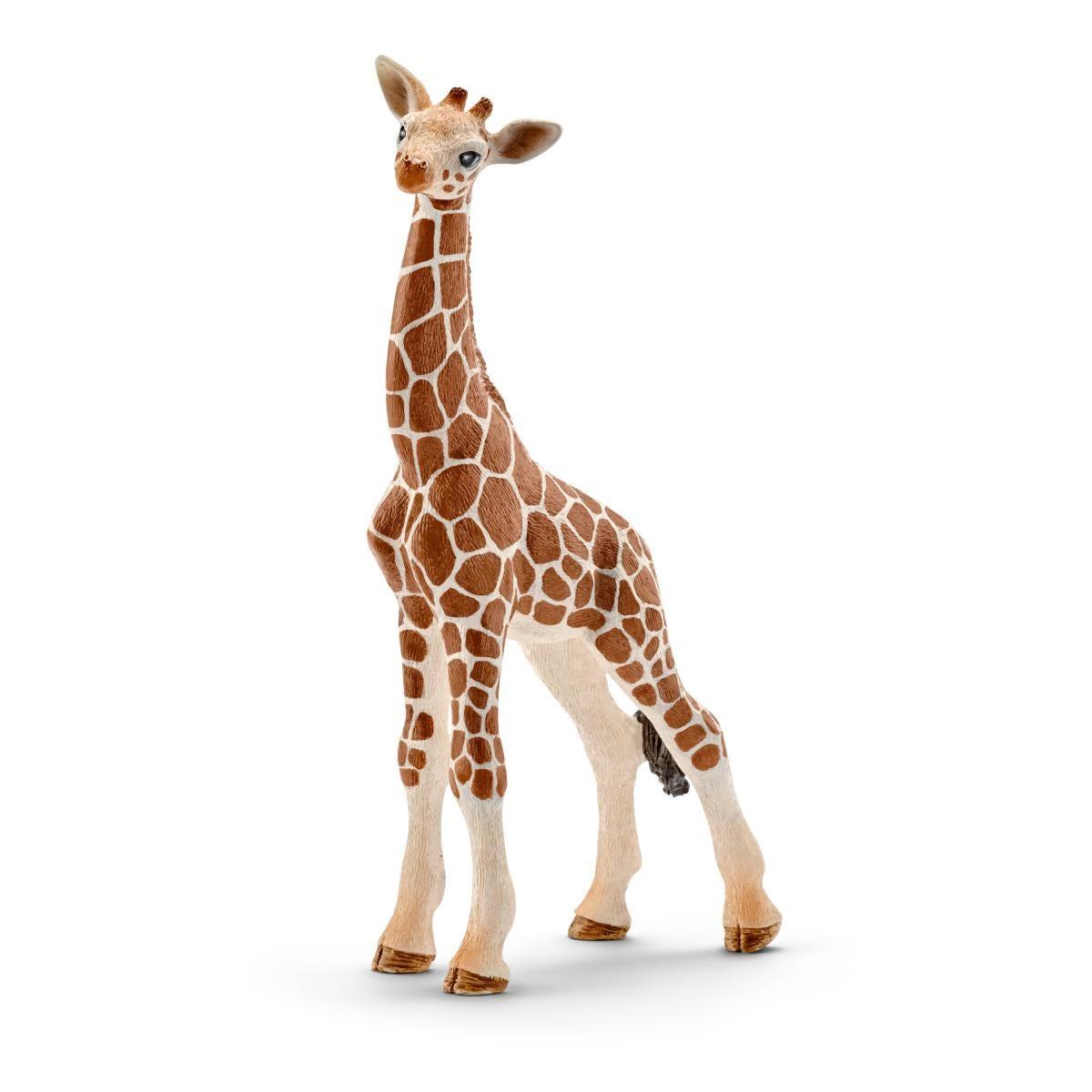 schleich WILD LIFE 14751 action figure giocattolo (SCHLEICH Wild Life Giraffe Calf Toy Figure 14751)
