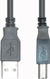E+P CC 502/10 sciolto. Lunghezza del cavo: 10 m, connessione 1: USB A, Connessione 2: USB B, versione USB: 2.0, connettore: mas