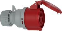 Brennenstuhl 1081060020 Giunto CEE 32 A 5 poli 400 V 1 pezzo (1081060020)
