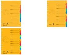 Registro di cartone Herlitz, copertura A4, cartone per riciclaggio in 12 parti in 12 parti, Manila, perforato con orgd, -1 pezz