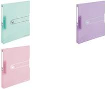 Raccoglitore ad anelli Herlitz a 2 anelli DIN A4 38 cm rosa-trasparente