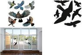 HERMA Fensterbild WarnvÃÂ¶gel Bunt 30x