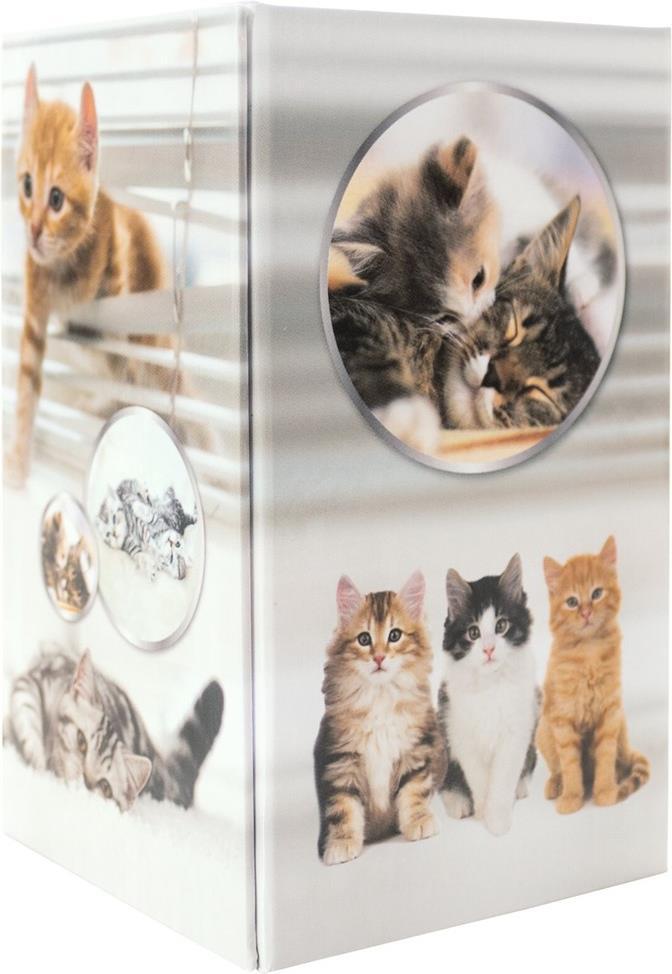 Gatti portapenne