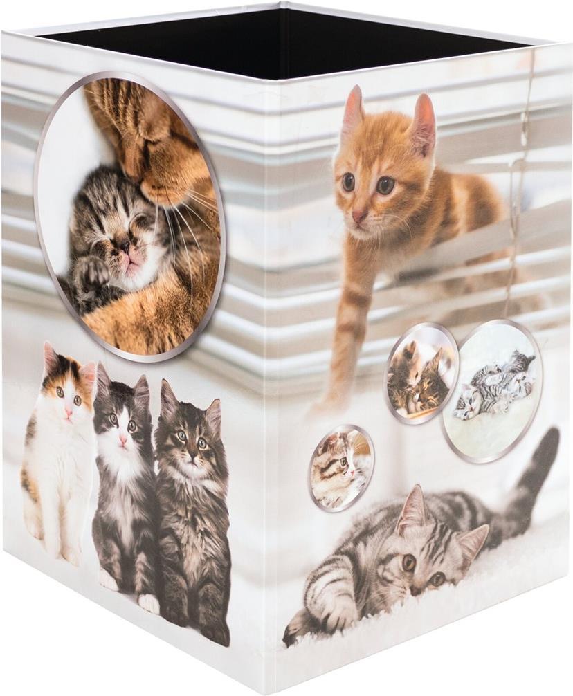 Gatti della spazzatura