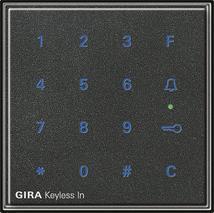GIRA 260567 Assicurarsi per...
