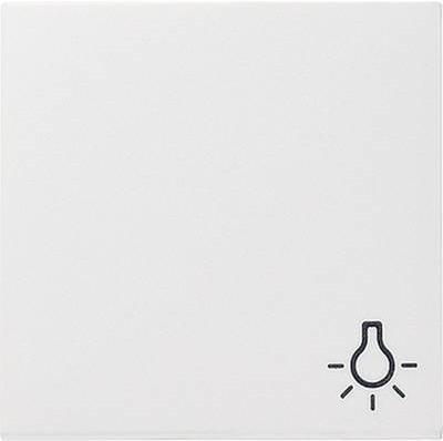 GIRA COVER SIMBOLIC SISTEMA "LIGHT" 55 Standard 55 E2 Event Event Clear Event Opaque Esprit Classix Sauber-We (028503)