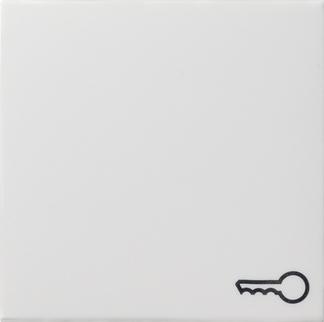 GIRA COPERTURA UAE/IAE/ISDN Sistema socket 55, Standard 55, E2, Event, Event Clear, Event OPAC, ESPRIT, Classix Saub (028703)