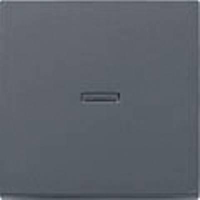 Sistema di switch di controllo del coperchio GIRA 55, Standard 55, E2, Event, Event Clear, Event Opaque, ESPRIT, Classix Anthra