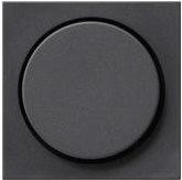 GIRA COVER DIMmer System 55 Standard 55 E2 Event Event Klar Event OPAC ESPRIT Classix Anthrazit 065028 (065028)