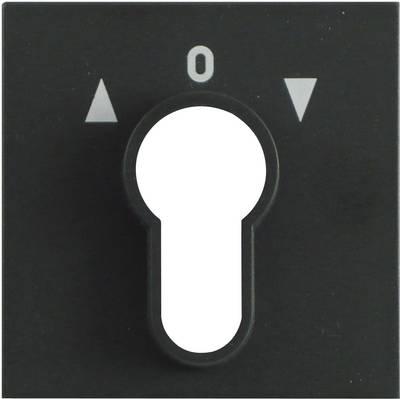 Sistema di switch chiave di...