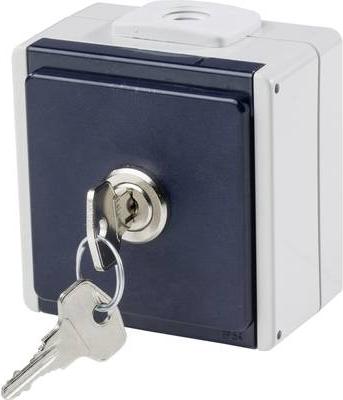 come - Schwabe 62461 presa...