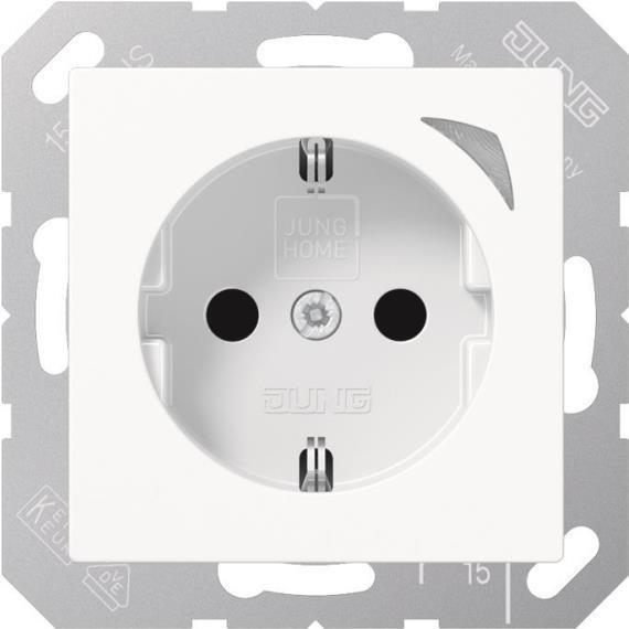 Jung HOME SCHUKO BTA1521SWW presa 1 (BTA1521SWW)