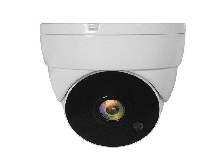 LevelOne ACS-5302 telecamera di sorveglianza Cupola Telecamera di sicurezza CCTV Interno e esterno Soffitto