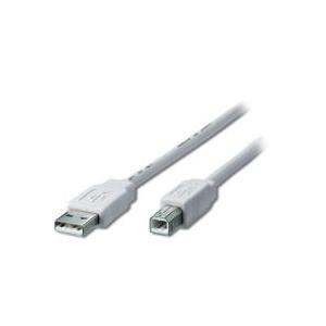 Equip USB 2.0 Cable 1,8m cavo USB Beige