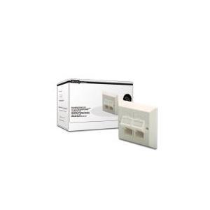 Digitus Professional DN -93805 - Piatta da parete - Bianco RAL 9010 - 2 porte (DN -93805)