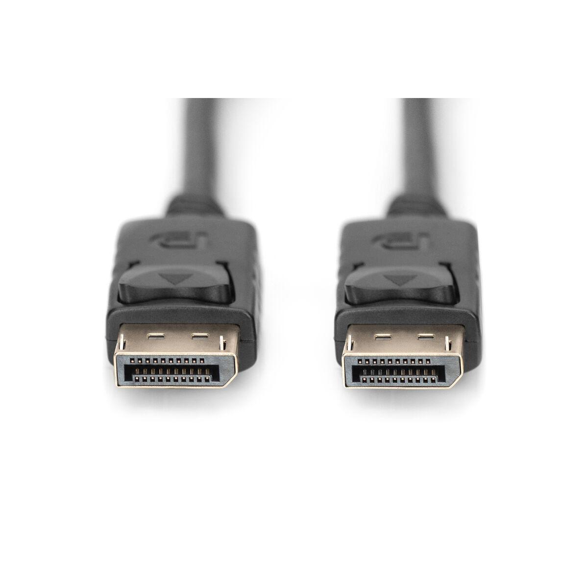 DisplayPort Connection Cable - 2 Meter