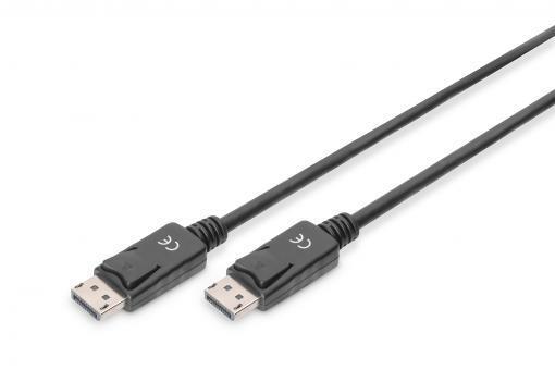 DisplayPort Connection...