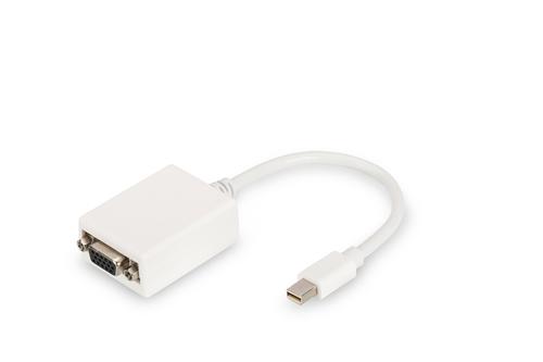 Cavo adattatore DisplayPort mini DP - HD15 M/F 0.1