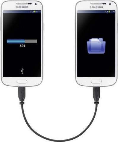 Renkforce RF-4079670 Cavo USB 015 m USB 1.0 Micro-USB B Nero (RF-4079670)