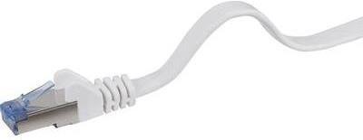 Renkforce - Cavo patch - RJ -45 (M) a RJ -45 (m) - 10 m - u/ftp - cat 6a - alogeno -pree, a forma, senza gancio, piatto - grigio
